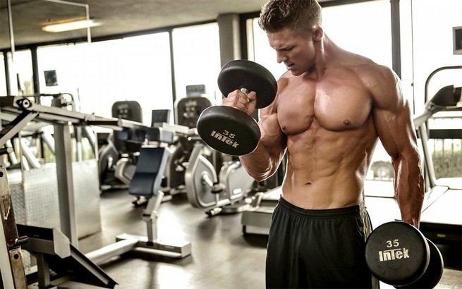 Studie untersucht Wirksamkeit von Steroiden für Trainings- und Fitnessziele